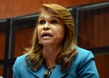 Sonia Mateo: «Ni Danilo ni Leonel, lo que queremos es sangre nueva»