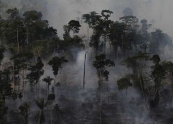 Amazonas: de paraíso tropical a infierno en llamas