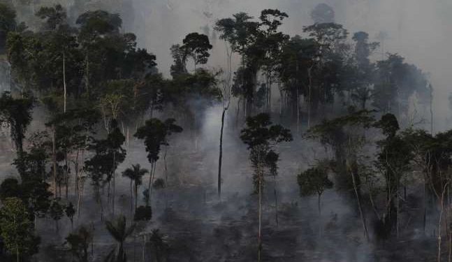 Amazonas: de paraíso tropical a infierno en llamas