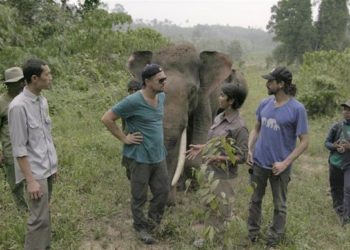 DiCaprio dona 5 millones de dólares en ayuda selva Amazona