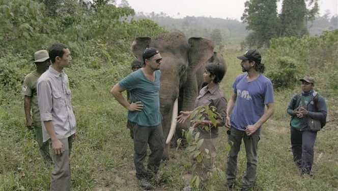 DiCaprio dona 5 millones de dólares en ayuda selva Amazona