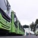 Gobierno entrega 130 de 200 autobuses a la OMSA