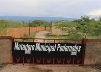 Cierre matadero municipal genera quejas en Pedernales
