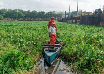Disponen cierre transitorio de puente flotante Santo Domingo