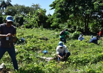 CAASD y alcaldía Los Alcarrizos siembran árboles diversas especies