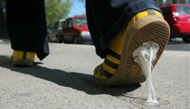 México se propone multar ciudadanos lancen chicle a la calle