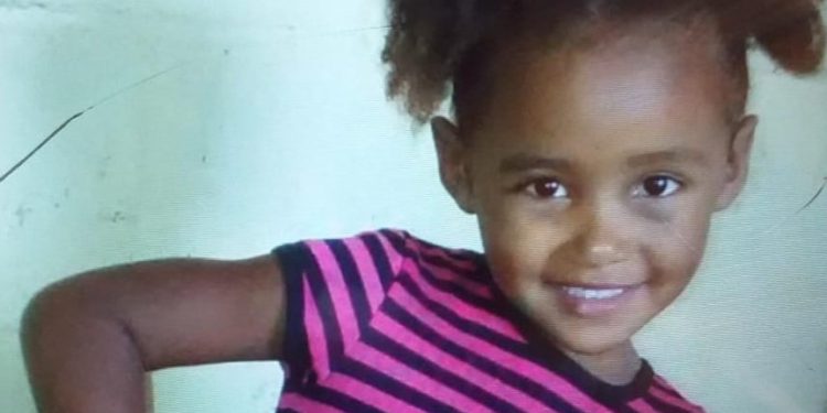 Director PN llama irresponsable madre de niña asesinada en Santiago