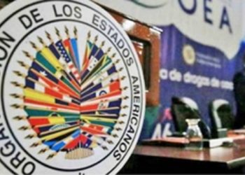 OEA: «Los actores políticos deben acompañar JCE para celebrar elecciones»
