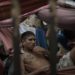 Estados miembros OEA debatirán humanización sistemas penitenciarios de América y el Caribe