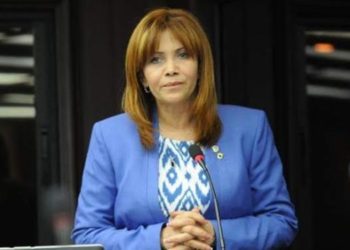 Diputada Olivares defiende voto en el exterior