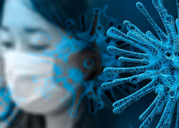 OMS confirma origen animal de coronavirus