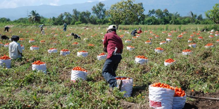 Gobierno entrega 9 electrobombas parceleros Azua