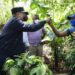 Presidente Medina constata avances Proyectos Desarrollo Agroforestal