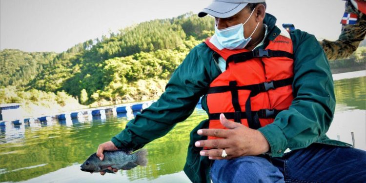 EGEHID libera 200 mil peces presa Jigüey