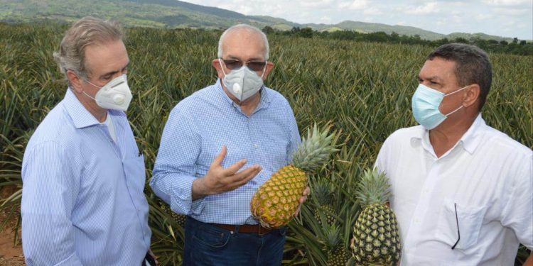 Administrador Banco Agrícola: «Gobierno pagará deudas por RD$200 millones a productores asegurados»
