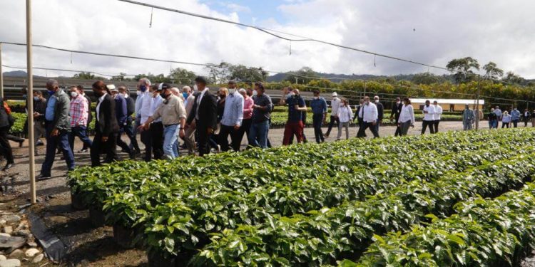Gobierno financiará productores café
