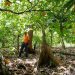 Administrador Banco Agrícola resalta apoyo productores cacao con financiamientos tasa cero