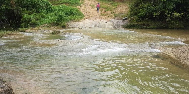Senador pide Medio Ambiente investigar destrucción río Boyá