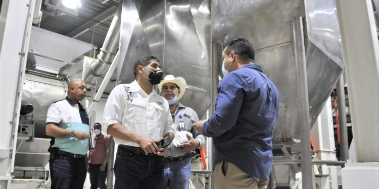 Presentan proyecto producción cacao orgánico
