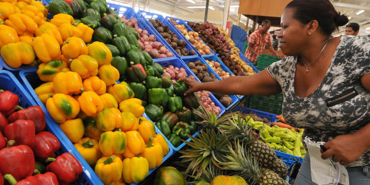 Ministro Agricultura: «Gobierno ha logrado estabilizar precios productos agrícolas»