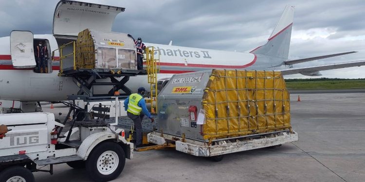 Llega lote 208 mil vacunas Pfizer