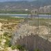 Gobierno cierra frontera por asesinato presidente haitiano