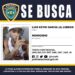 PN apresa hombre acusa asesinar haitiana durante asalto a banca en Santiago