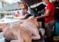 Pro Consumidor verificará alza indiscriminada carne de pollo