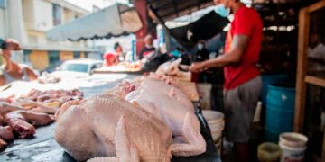 Pro Consumidor verificará alza indiscriminada carne de pollo