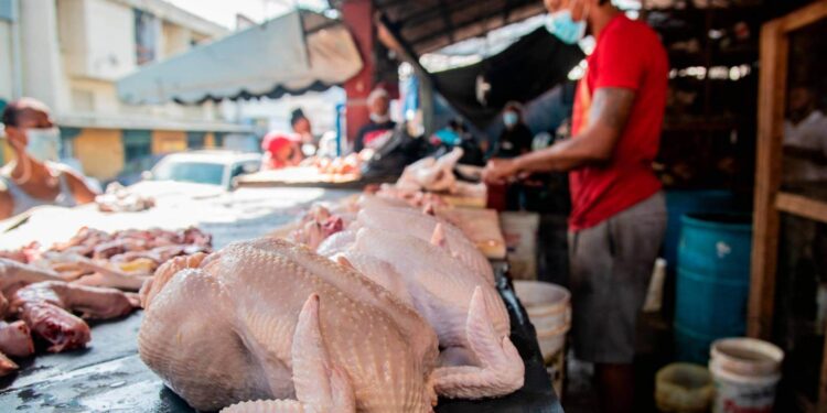 Pro Consumidor verificará alza indiscriminada carne de pollo