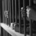 Imponen coerción cinco hombres robaban en residencias de Santiago