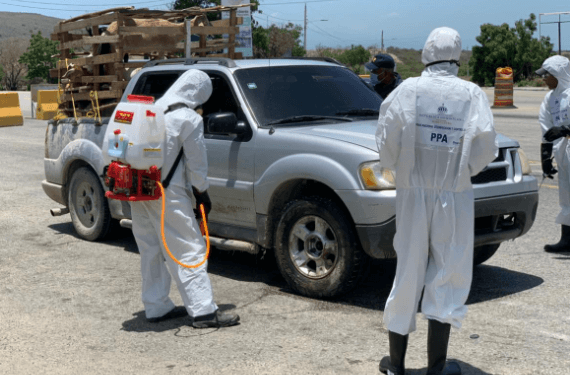 Gobierno refuerza control peste porcina