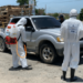 Gobierno refuerza control peste porcina