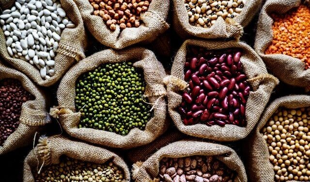 Agricultura garantiza productividad y abastecimiento habichuelas