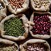 Agricultura garantiza productividad y abastecimiento habichuelas