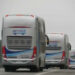 Transporte APTPRA extiende horario servicios por festividades navideñas