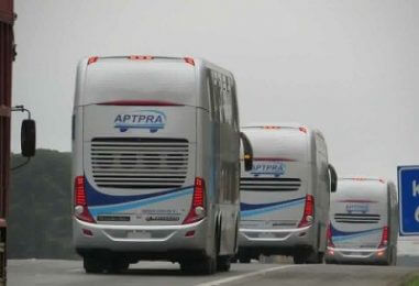 Transporte APTPRA extiende horario servicios por festividades navideñas