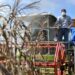 Agricultura dará apoyo productores Puerto Plata