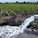 Director de Riego afirma RD debería estar en capacidad de exportar agua