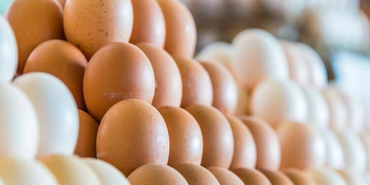 Inespre venderá unidad huevos a 3 pesos