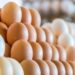 Inespre venderá unidad huevos a 3 pesos
