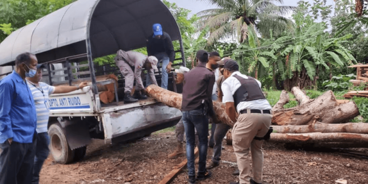 Procuraduría ocupa madera talada por director Palmarejo en aserraderos