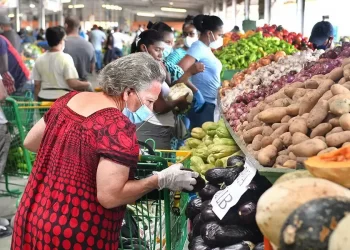 Leonel: «La seguridad alimentaria no está garantizada con la política del gobierno»