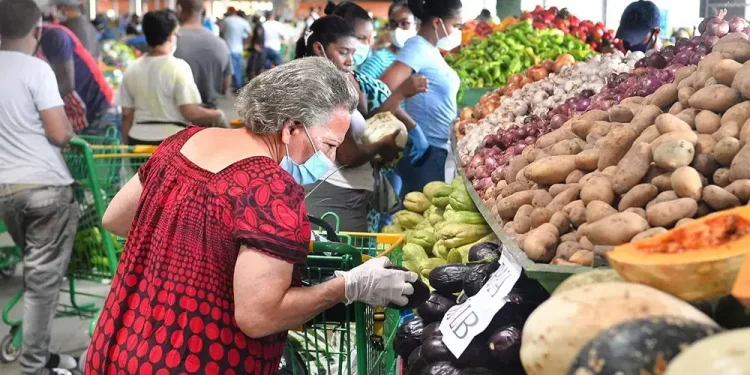 Leonel: «La seguridad alimentaria no está garantizada con la política del gobierno»