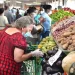 Leonel: «La seguridad alimentaria no está garantizada con la política del gobierno»
