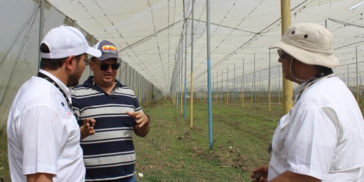 Caamaño socializa política tecnificación de riego con productores