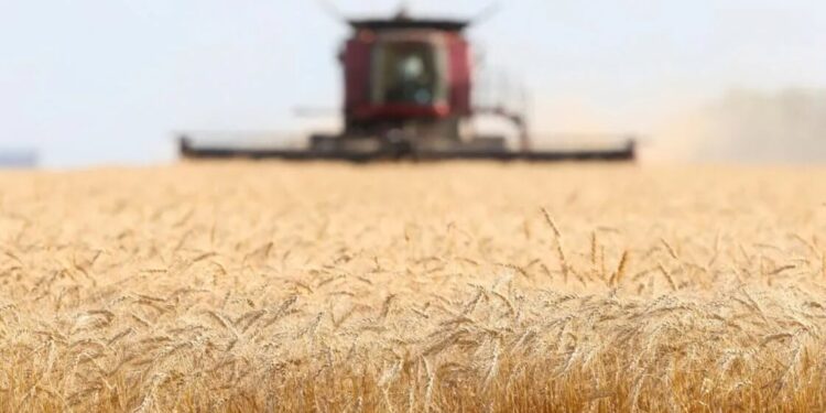 UE relajará sanciones a bancos rusos permitir comercio de alimentos