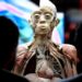 Llega la muestra «Bodies: Cuerpos Humanos Reales»