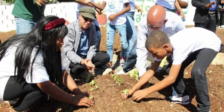 Alcaldía SDE inicia Sistema de Huertos Urbanos en Los Frailes