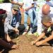 Alcaldía SDE inicia Sistema de Huertos Urbanos en Los Frailes